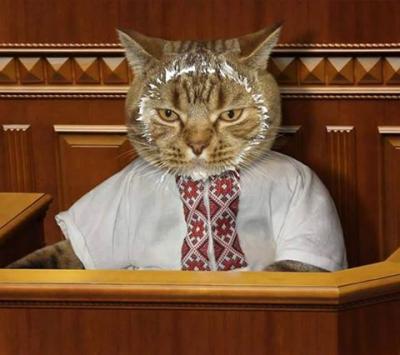 Прикрепленное изображение: 13902739_1015115405271340_2056635693487862563_n.jpg